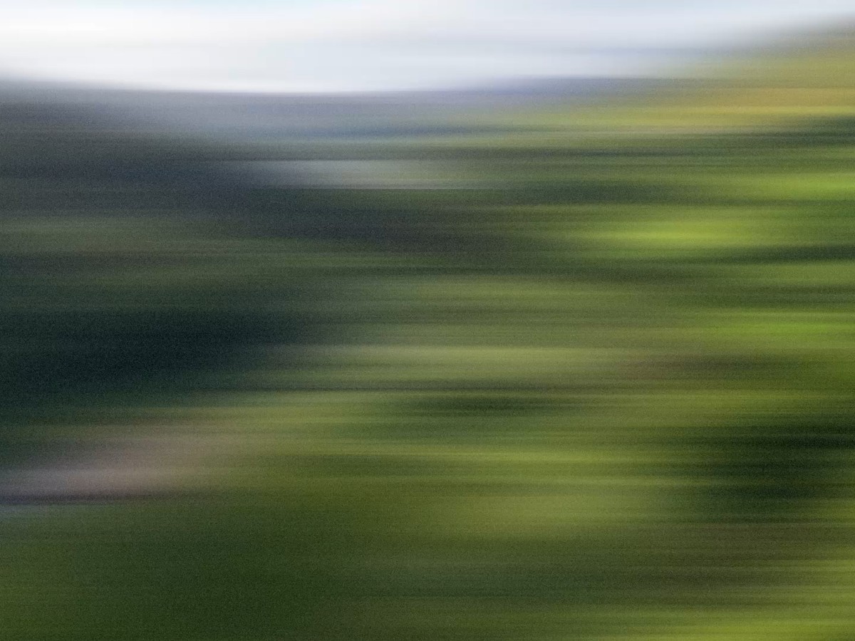Building an industrial-grade brand for an invisible forecast.